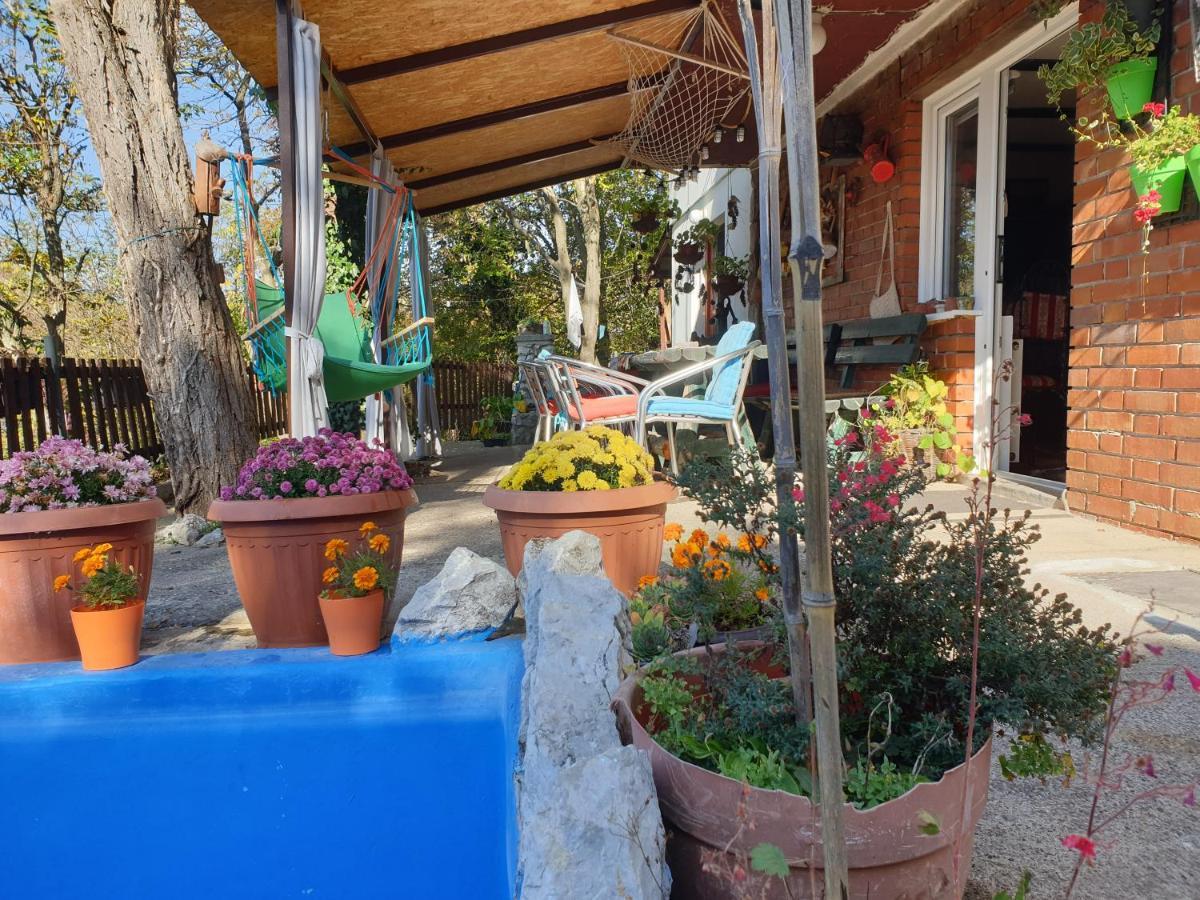 Lena Apartment Meduvrsje